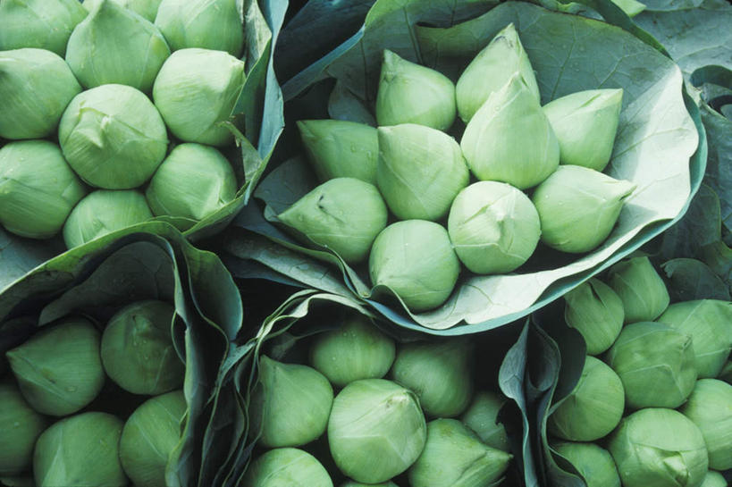 无人,横图,俯视,室外,特写,白天,蔬菜,袋子,一堆,许多,阴影,堆叠,堆积,新鲜,反射,影子,纸袋,食品,食物,容器,有机食品,绿色食品,储藏,堆,储存,彩图,高角度拍摄,贮存