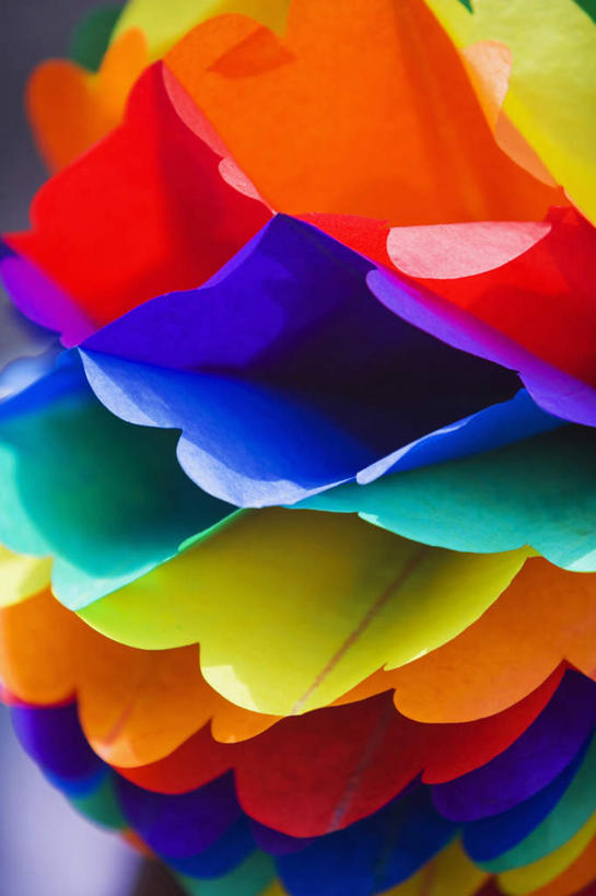 无人,竖图,彩色,室内,特写,白天,正面,静物,阴影,盛开,反射,影子,花蕾,标识,标记,花,花瓣,花朵,鲜花,花苞,花蕊,五颜六色,色彩斑斓,同性恋,五彩缤纷,五彩斑斓,表记,标帜,五光十色,彩图