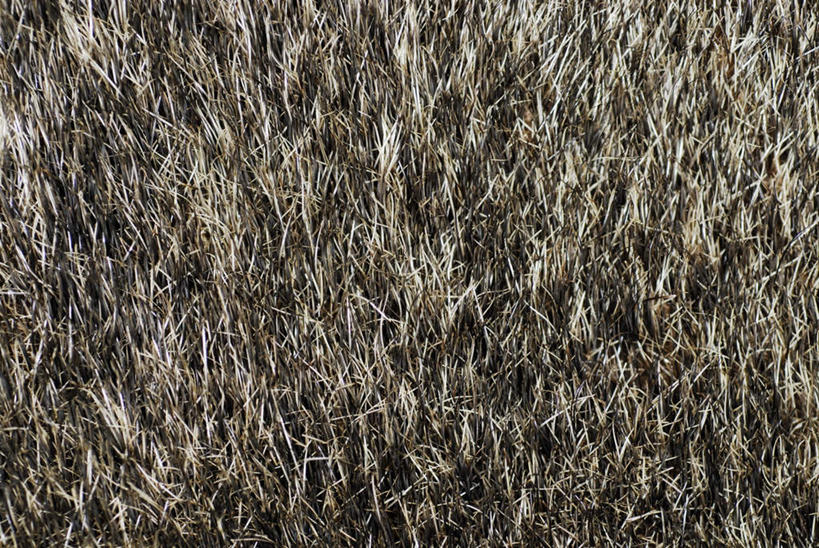 无人,农田,横图,俯视,室外,特写,白天,农业,庄稼,农作物,美景,阴影,丰收,反射,影子,稻田,景观,自然,景色,收获,自然风光,彩图,高角度拍摄,耕地,庄稼田