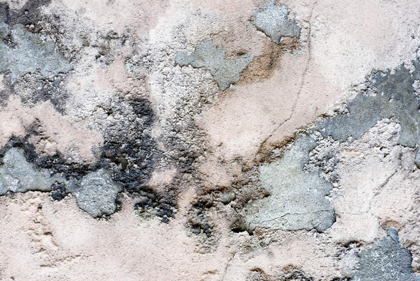 无人,横图,室内,特写,白天,正面,静物,墙,破坏,破损,墙壁,墙面,肮脏,损坏,邋遢,龌龊,污秽,彩图