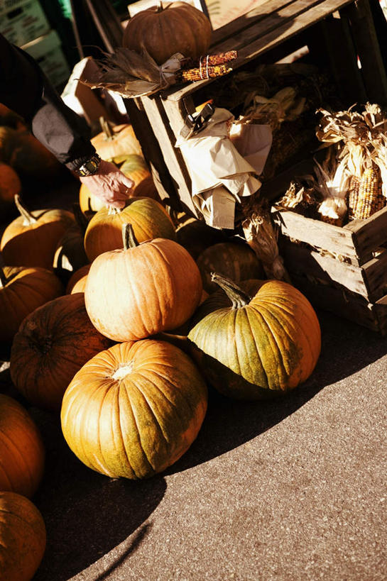 无人,竖图,俯视,室外,白天,玉米,南瓜,蔬菜,一堆,许多,收成,阴影,堆叠,堆积,朦胧,模糊,新鲜,光线,木制,棒子,木盒,影子,金瓜,玉蜀黍,食品,很多,番瓜,食物,阳光,木制品,容器,有机食品,绿色食品,收获,储藏,堆,麦瓜,倭瓜,苞米,储存,苞芦,苞谷,包谷,大蜀黍,番麦,薏米包,玉高粱,玉麦,珍珠米,劳绩,彩图,高角度拍摄,贮存