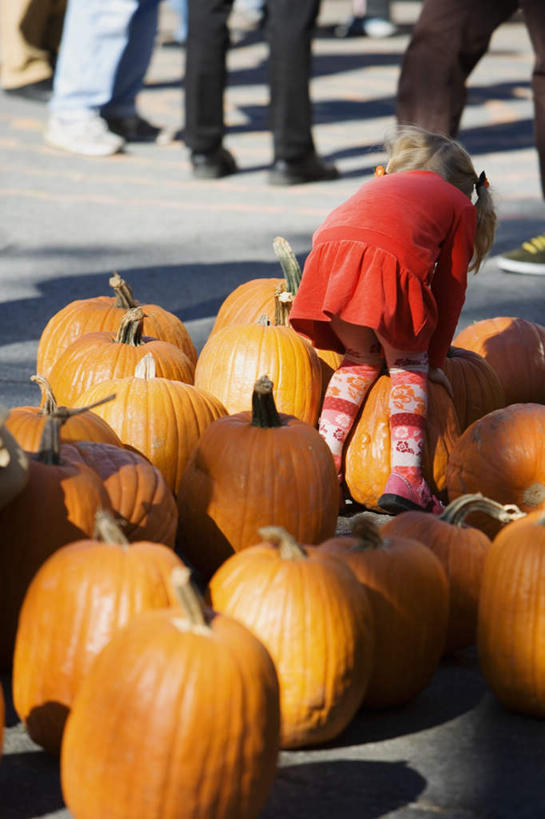 西方人,儿童,一个人,站,竖图,室外,白天,裙子,纯洁,南瓜,蔬菜,欧洲,欧洲人,仅一个女性,仅一个人,一堆,许多,收成,弯腰,阴影,堆叠,堆积,连衣裙,新鲜,光线,影子,金瓜,食品,很多,番瓜,食物,小孩,背面,红色,阳光,站着,仅一个小孩,橙色,可爱,童年,童趣,有机食品,绿色食品,收获,堆,麦瓜,倭瓜,童真,烂漫,无邪,弯身,劳绩,天真,女孩,女人,女性,白种人,孩子,站立,彩图,全身,女生
