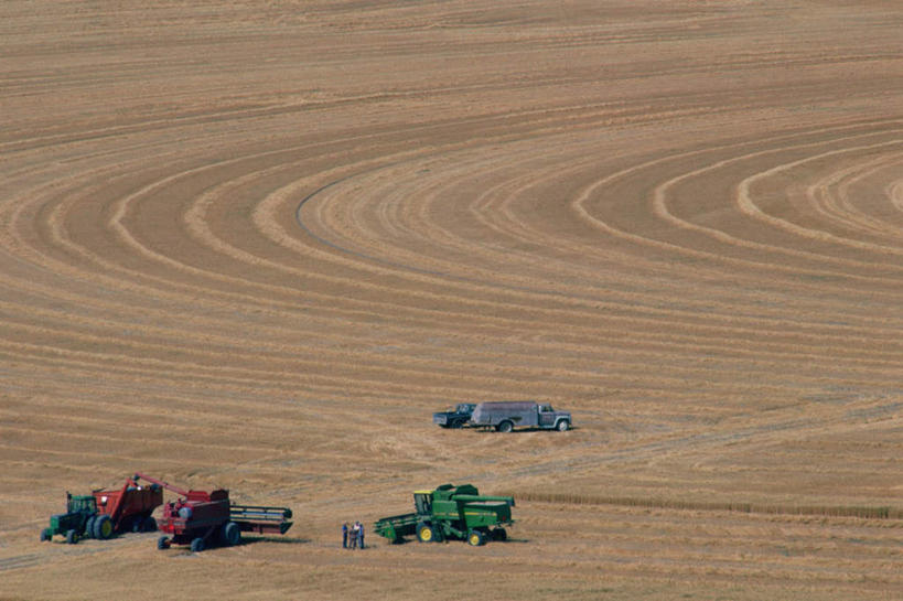 无人,农田,横图,俯视,室外,白天,旅游,度假,农业,庄稼,农作物,收割,小麦,美景,城市,美国,丰收,工具,稻田,景观,谷物,娱乐,自然,享受,休闲,景色,放松,麦子,收获,北美,北美洲,自然风光,美洲,收割机,农具,怀俄明州,怀俄明,首府,夏延,北亚美利加洲,亚美利加洲,平等之州,脱粒,彩图,高角度拍摄,耕地,庄稼田