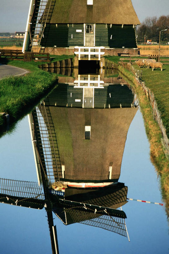 无人,农田,竖图,室外,白天,正面,旅游,度假,庄稼,农作物,灌溉,草地,草坪,美景,植物,风车,欧洲,荷兰,阴影,环保,光线,影子,池塘,景观,水池,娱乐,草,树,树木,蓝色,绿色,倒影,蓝天,天空,阳光,自然,天,享受,休闲,景色,放松,生长,能源,晴朗,成长,回收,资源,倒映,浇灌,荷兰风车,西欧,自然风光,利用,低碳,循环,万里无云,磨坊,荷兰王国,尼德兰王国,持续,反照,福伦丹,沃伦丹,晴空,晴空万里,彩图,耕地,庄稼田