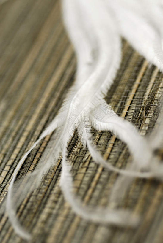 无人,竖图,俯视,室内,特写,白天,植物,鸵鸟,羽毛,阴影,竹制,朦胧,模糊,轻盈,柔软,反射,席子,线条,影子,白色,竹制品,轻柔,彩图,高角度拍摄