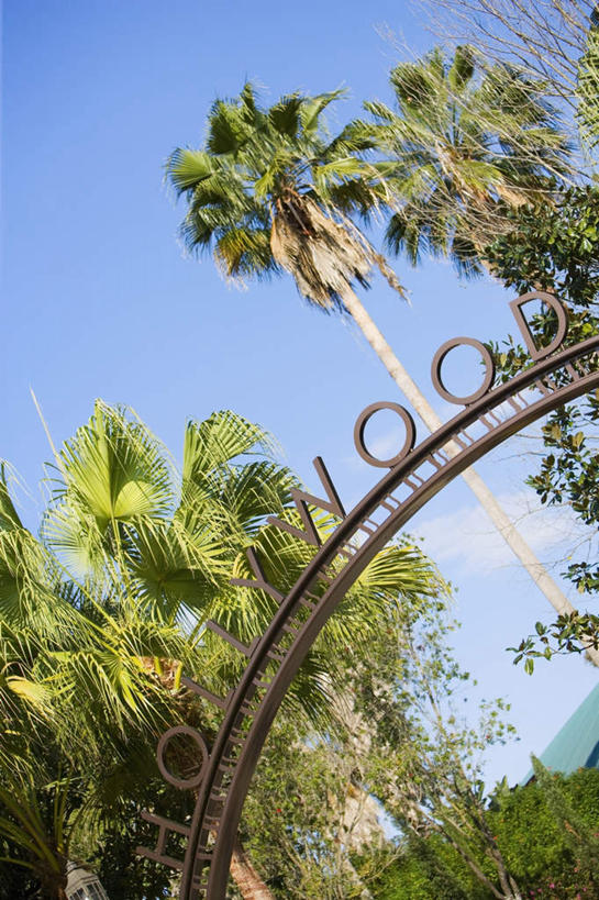 无人,竖图,室外,白天,仰视,度假,美景,植物,门,城市风光,城市,棕榈树,叶子,美国,阴影,光线,英文,标志,文字,影子,字符,字母,景观,绿叶,娱乐,标识,树,树木,蓝色,绿色,蓝天,天空,阳光,自然,门框,天,享受,休闲,嫩叶,景色,放松,生长,晴朗,成长,英文字母,北美,北美洲,加利福尼亚,美洲,棕榈叶,加州,好莱坞,洛杉矶,加利福尼亚州,万里无云,金州,黄金州,北亚美利加洲,亚美利加洲,荷里活,天使之城,叶,叶片,晴空,晴空万里,彩图,低角度拍摄