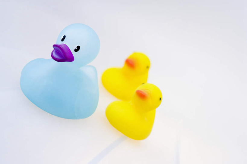 无人,横图,俯视,室内,特写,白天,白色背景,游戏,静物,玩具,鸭子,玩,娱乐,三个,黄色,蓝色,休闲,橡胶,益智,摄影,影棚,活动,发泄,消遣,智力,橡胶制品,宣泄,橡胶小鸭,橡皮小鸭,玩耍,嬉戏,彩图,高角度拍摄,影棚拍摄,拍摄