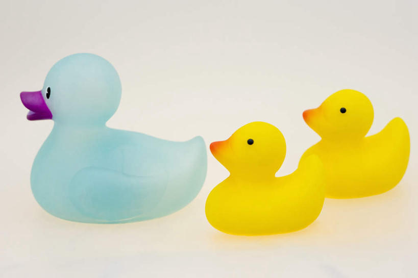 无人,横图,室内,特写,白天,白色背景,正面,游戏,静物,玩具,三只,一排,整齐,鸭子,玩,娱乐,排列,黄色,蓝色,休闲,橡胶,益智,摄影,影棚,活动,队列,发泄,消遣,智力,橡胶制品,宣泄,橡胶小鸭,橡皮小鸭,玩耍,嬉戏,彩图,影棚拍摄,拍摄