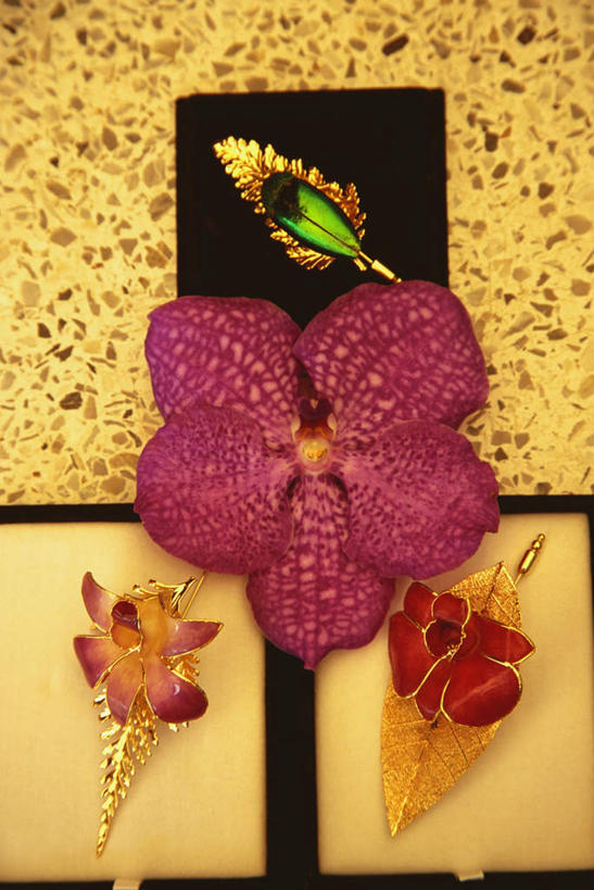 无人,竖图,室内,特写,白天,正面,静物,珐琅,珠宝,花纹,装饰,盛开,胸花,花蕾,花,花瓣,花朵,鲜花,饰品,花苞,花蕊,四个,胸针,华丽,修饰,点缀,配饰,衬托,美观,雅致,雅观,搪瓷,景泰蓝,彩图