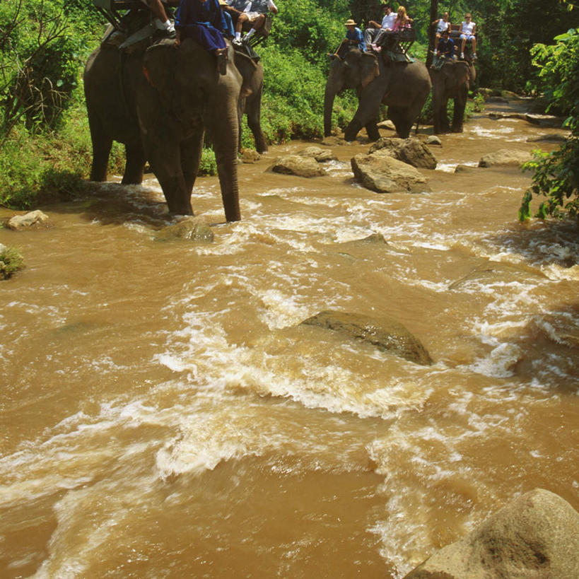 东方人,走,方图,室外,白天,正面,旅游,度假,河流,石头,美景,树林,水,植物,哺乳动物,大象,野生动物,泰国,亚洲,阴影,服装,光线,石子,影子,河水,景观,水流,许多人,注视,休闲装,黄种人,娱乐,清迈,树,树木,衣服,绿色,阳光,自然,动物,观察,看,一群人,享受,休闲,休闲服,景色,放松,服饰,东南亚,生长,成长,观看,察看,关注,自然风光,沉积岩,首府,泰王国,清迈府,清迈省,水成岩,男人,男性,中年男性,亚洲人,石块,岩石,象,步行,散步,走路,半身,彩图,马沙大象营