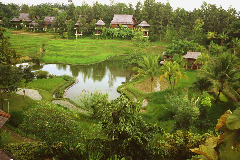 无人,家,农田,横图,俯视,室外,白天,旅游,度假,庄稼,农作物,草地,草坪,美景,植物,别墅,泰国,亚洲,房屋,屋子,池塘,景观,水池,公寓,娱乐,洋房,楼房,住宅,草,树,树木,绿色,倒影,自然,享受,休闲,景色,放松,东南亚,生长,成长,倒映,自然风光,泰王国,清迈府,反照,清迈省,彩图,高角度拍摄,耕地,庄稼田,房子