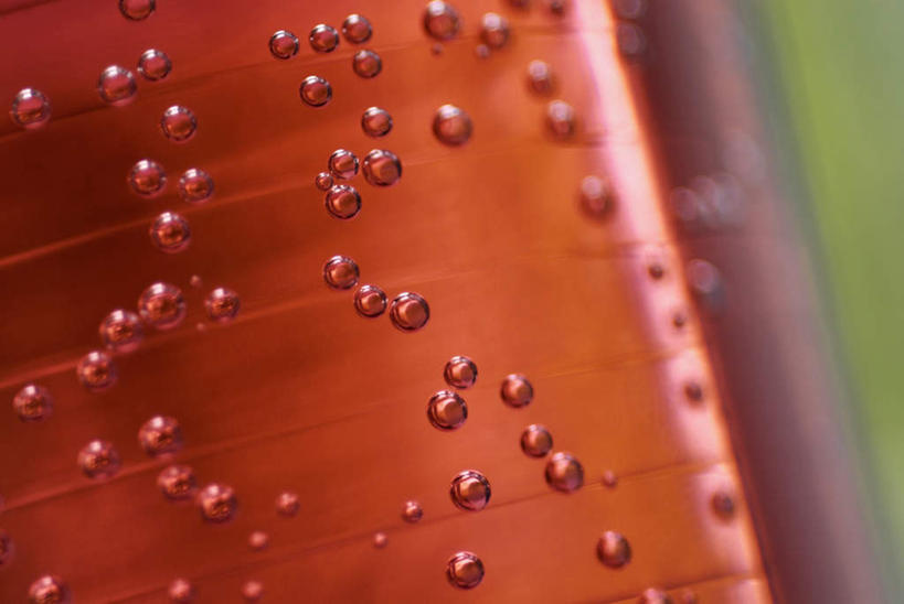 无人,横图,室内,特写,白天,正面,水,餐桌,桌子,杯子,阴影,波纹,朦胧,模糊,透明,反射,液体,影子,气泡,水滴,涟漪,漩涡,水泡,玻璃制品,水珠,一个,红色,水纹,泡泡,水杯,单个,餐台,圆弧,苏打,碳酸钠,化学物质,纯碱,碱面,玻璃杯,彩图