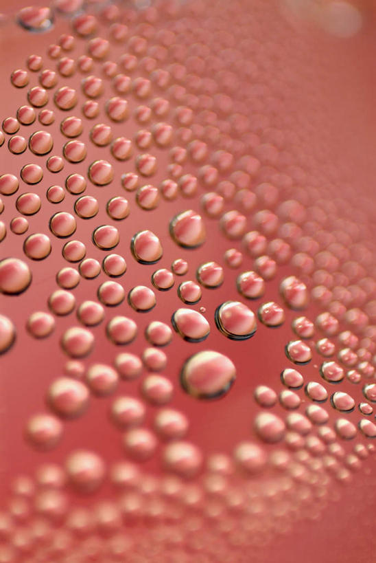 无人,竖图,俯视,室内,特写,白天,水,露水,餐桌,桌子,阴影,透明,反射,液体,影子,水滴,水珠,露珠,餐台,生机,苏打,剔透,灵动,通明,碳酸钠,化学物质,纯碱,碱面,彩图,高角度拍摄,晶莹