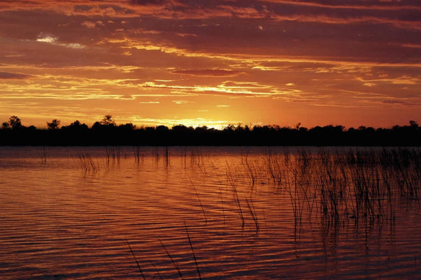 无人,横图,室外,白天,正面,旅游,度假,河流,美景,日落,森林,树林,水,植物,非洲,博茨瓦纳,阴影,光线,影子,河水,景观,水流,晚霞,霞光,落日,水草,背光,娱乐,树,树木,绿色,倒影,阳光,自然,黄昏,享受,休闲,景色,彩霞,放松,生长,成长,倒映,自然风光,逆光,奥卡万戈三角洲,奥卡万戈沼泽,波札那,博茨瓦纳共和国,夕照,反照,夕阳,彩图,斜阳