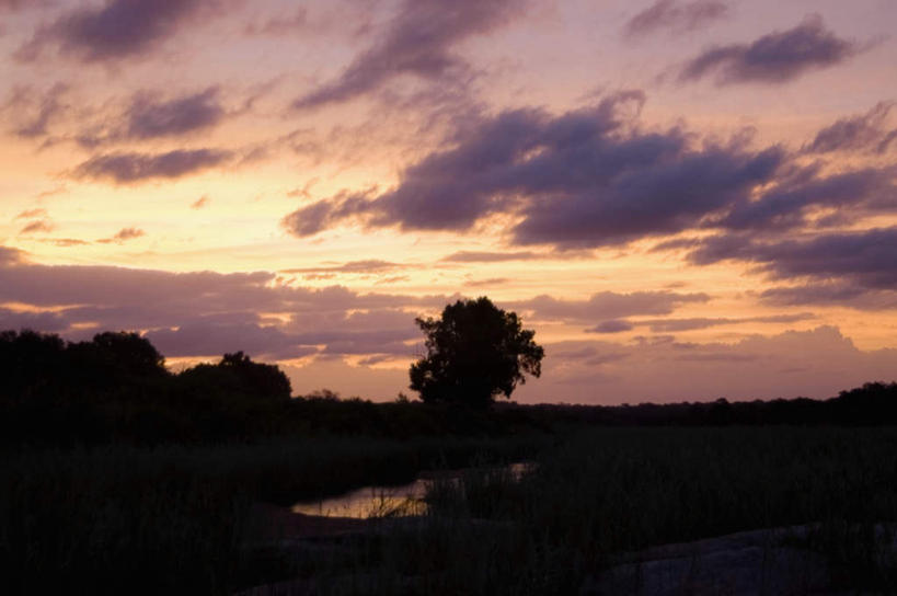 无人,动物园,横图,室外,白天,正面,旅游,度假,湖,湖泊,美景,日落,森林,树林,水,植物,非洲,南非,阴影,光线,影子,湖面,景观,水流,水面,晚霞,霞光,落日,背光,娱乐,树,树木,绿色,阳光,自然,黄昏,湖水,享受,休闲,景色,彩霞,放松,生长,成长,国家公园,自然风光,逆光,克鲁格国家公园,阿非利加洲,德兰士瓦省,南非共和国,夕照,夕阳,彩图,斜阳