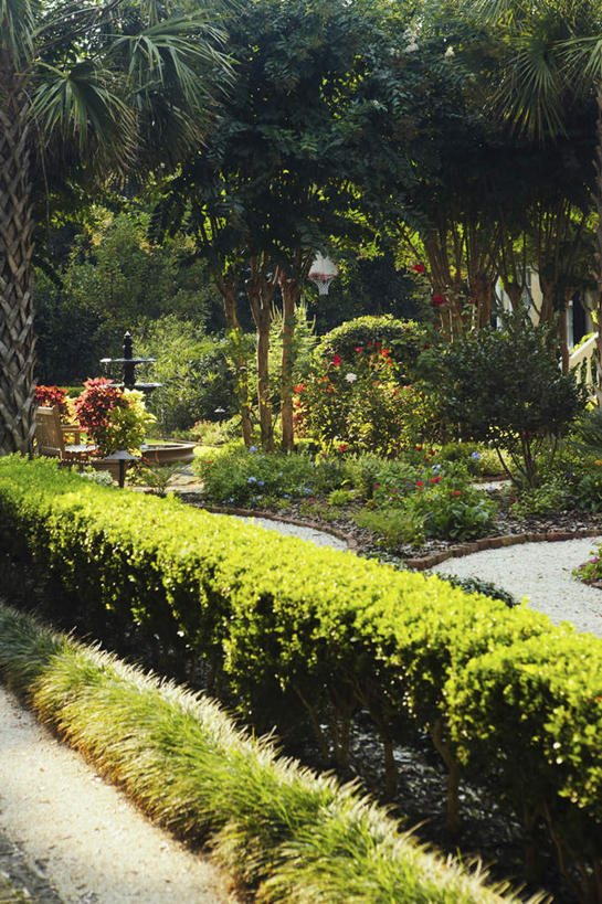 无人,竖图,室外,白天,正面,旅游,度假,草地,草坪,美景,水,植物,喷泉,棕榈树,叶子,美国,飞溅,溅,液体,景观,水滴,绿叶,文化,娱乐,水珠,草,树,树木,绿色,自然,品味,享受,休闲,嫩叶,景色,放松,生长,成长,北美,北美洲,喷洒,自然风光,美洲,水景,棕榈叶,查尔斯顿,南卡罗来纳州,北亚美利加洲,亚美利加洲,美观,南卡罗来纳,扇榈之州,矮棕榈之州,设计,叶,叶片,彩图