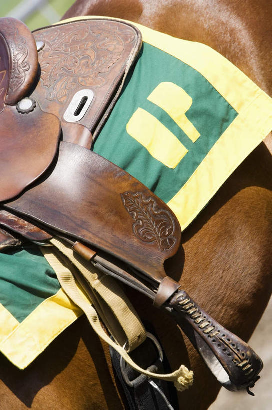 无人,站,竖图,俯视,室外,特写,白天,马,野生动物,阴影,朦胧,模糊,反射,英文,标志,文字,影子,字符,字母,标识,一匹,座位,马鞍,动物,站着,运输,牲畜,英文字母,马具,站立,半身,彩图,高角度拍摄