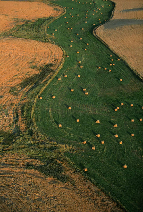 无人,农田,竖图,俯视,航拍,室外,白天,旅游,度假,庄稼,农作物,美景,美国,许多,景观,干草,首都,娱乐,自然,草垛,享受,休闲,景色,放松,北美,北美洲,鸟瞰,自然风光,美洲,华盛顿特区,华盛顿哥伦比亚特区,华府,北亚美利加洲,亚美利加洲,干草垛,彩图,高角度拍摄,耕地,庄稼田