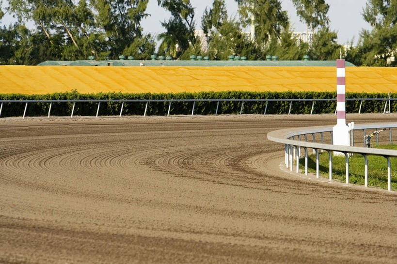 无人,体育馆,栏杆,运动场,横图,室外,白天,正面,旅游,度假,花海,花圃,美景,植物,叶子,阴影,盛开,光线,扶手,影子,景观,花蕾,娱乐,体育场,护栏,马场,花,花瓣,花朵,花卉,鲜花,树,树木,蓝色,绿色,蓝天,天空,阳光,自然,花丛,花束,花田,天,花苞,花蕊,享受,休闲,景色,放松,生长,晴朗,成长,自然风光,赛马场,万里无云,跑马场,运动馆,晴空,晴空万里,彩图