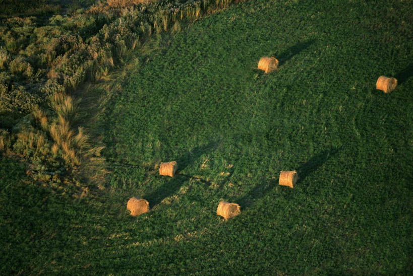 无人,农田,横图,俯视,航拍,室外,白天,旅游,度假,庄稼,农作物,美景,美国,景观,干草,首都,娱乐,自然,草垛,享受,休闲,景色,放松,北美,北美洲,鸟瞰,自然风光,美洲,华盛顿特区,华盛顿哥伦比亚特区,华府,北亚美利加洲,亚美利加洲,干草垛,彩图,高角度拍摄,耕地,庄稼田