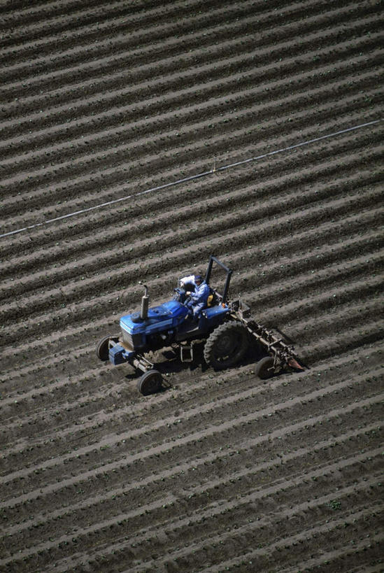 西方人,一个人,农民,农田,坐,竖图,俯视,室外,白天,工作服,制服,农业,庄稼,农作物,汽车,欧洲,欧洲人,仅一个男性,仅一个人,仅一个中年男性,一辆,握,阴影,光线,影子,注视,车,阳光,交通工具,观察,驾驶,看,行驶,机械,握着,观看,操纵,控制,察看,关注,载具,拖拉机,操控,把持,农人,交通运输,农用机械,工作制服,男人,男性,中年男性,白种人,农夫,坐着,彩图,高角度拍摄,全身,工作套服,耕地,庄稼田