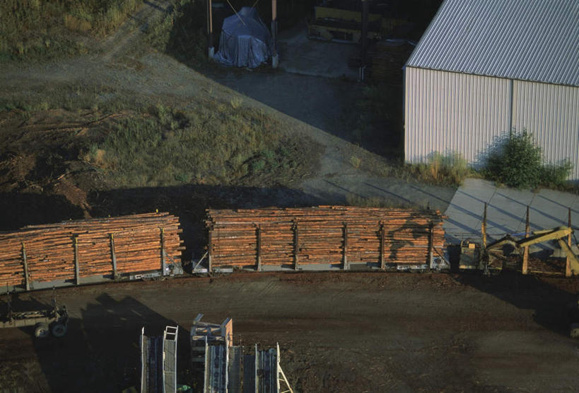 无人,工厂,横图,俯视,航拍,室外,白天,旅游,度假,美景,植物,美国,许多,阴影,环保,光线,昆虫,木材,影子,屋顶,景观,顶棚,娱乐,木柴,树,树木,绿色,阳光,自然,动物,享受,休闲,景色,放松,木料,生长,能源,成长,回收,资源,北美,北美洲,鸟瞰,自然风光,美洲,利用,低碳,循环,害虫,北亚美利加洲,亚美利加洲,持续,壁鱼,蠹,蠹鱼,衣鱼,彩图,高角度拍摄,工地,制造厂