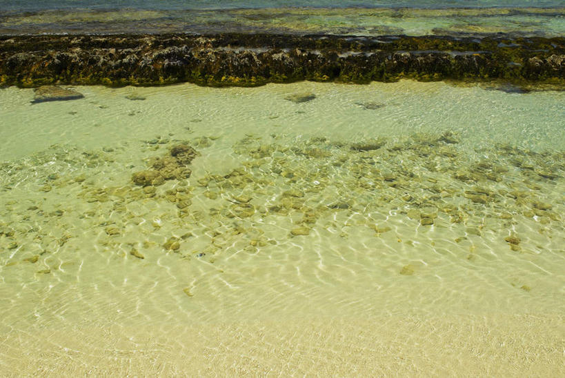 无人,横图,俯视,航拍,室外,白天,旅游,度假,海浪,海洋,石头,美景,沙滩,美国,阴影,光线,沙子,石子,影子,海岸,景观,浪花,沙地,首都,娱乐,阳光,自然,海水,享受,休闲,景色,放松,北美,北美洲,鸟瞰,自然风光,美洲,海景,华盛顿特区,首府,华盛顿哥伦比亚特区,华府,北亚美利加洲,亚美利加洲,哥伦比亚特区,大海,风浪,海,海水的波动,海滩,近岸浪,石块,岩石,涌浪,彩图,高角度拍摄