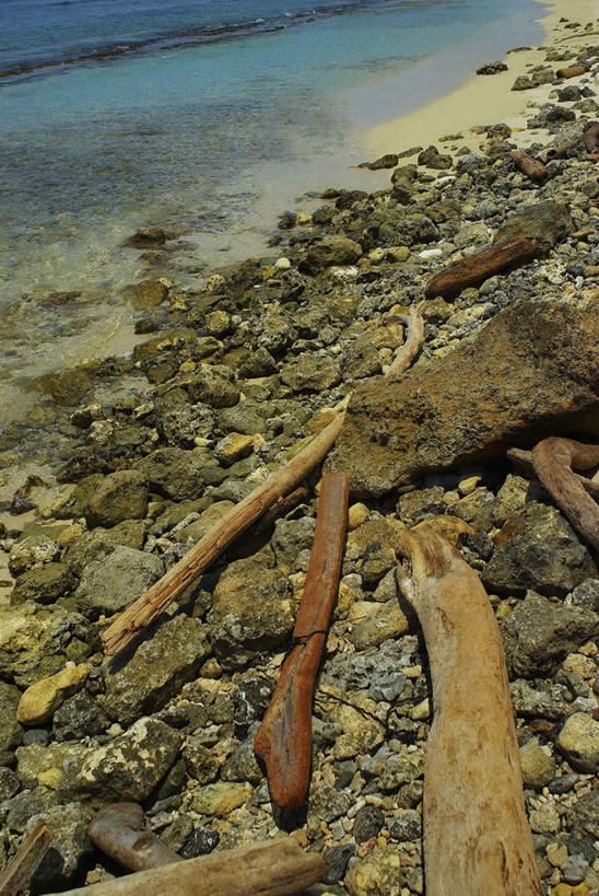 无人,竖图,俯视,室外,特写,白天,旅游,度假,海浪,海洋,石头,美景,沙滩,美国,一堆,许多,阴影,堆叠,堆积,光线,木材,沙子,石子,影子,海岸,景观,浪花,沙地,首都,娱乐,木柴,阳光,自然,海水,享受,休闲,景色,放松,木料,堆,北美,北美洲,自然风光,美洲,海景,华盛顿特区,首府,华盛顿哥伦比亚特区,华府,北亚美利加洲,亚美利加洲,哥伦比亚特区,大海,风浪,海,海水的波动,海滩,近岸浪,石块,岩石,涌浪,彩图,高角度拍摄