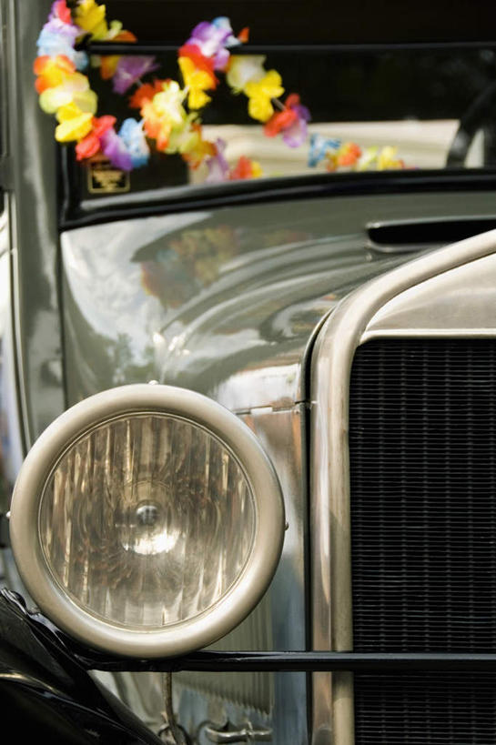 无人,竖图,室外,特写,白天,正面,汽车,照明,装饰,盛开,跑车,花蕾,车,灯,花,花瓣,花朵,鲜花,灯具,交通工具,花苞,花蕊,华丽,修饰,照亮,点缀,照明设备,载具,敞篷跑车,前照灯,前大灯,车前灯,衬托,美观,雅致,雅观,彩图