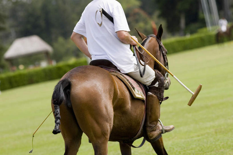 西方人,一个人,坐,横图,室外,白天,运动服,锻炼,旅游,度假,运动,草地,草坪,植物,马,野生动物,欧洲,欧洲人,仅一个男性,仅一个人,握,服装,拿,拿着,娱乐,运动器械,一匹,草,树,树木,仅一个年轻男性,背面,衣服,绿色,自然,动物,享受,休闲,健身器械,放松,握着,运输,服饰,牲畜,生长,成长,衣着,穿着,室外运动,健身器材,户外运动,马球,衣饰,打毬,击鞠,男人,男性,年轻男性,白种人,坐着,半身,彩图,健身,运动器材,运动装
