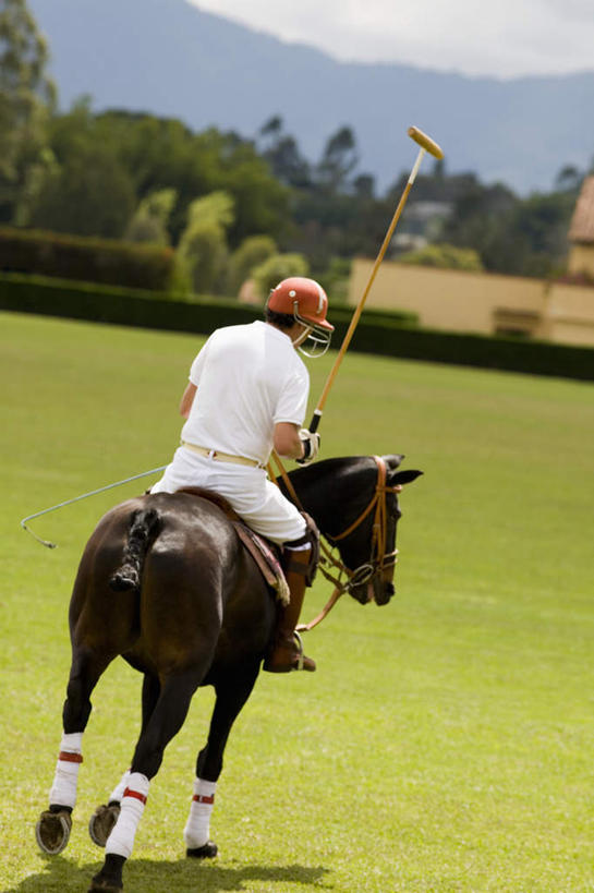 西方人,一个人,坐,竖图,室外,白天,锻炼,运动,草地,草坪,植物,马,野生动物,帽子,欧洲,欧洲人,仅一个男性,仅一个人,仅一个中年男性,牵,阴影,服装,环保,光线,影子,防护,休闲装,运动器械,运动帽,一匹,草,树,树木,骑,背面,衣服,蓝色,绿色,蓝天,天空,阳光,自然,动物,天,休闲,休闲服,健身器械,鸭舌帽,运输,服饰,牲畜,生长,晴朗,成长,牵着,美好,美妙,间隔,健身器材,万里无云,马球,美观,雅观,打毬,击鞠,绿篱,生篱,树篱,植篱,体育,男人,男性,中年男性,白种人,晴空,晴空万里,坐着,彩图,全身,健身,运动器材