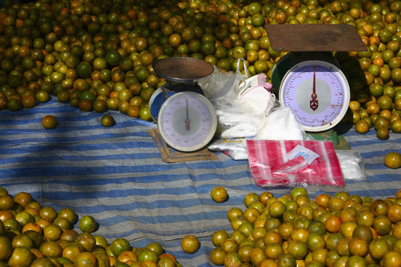 无人,菜场,横图,俯视,室外,特写,白天,购物,度假,消费,仪器,美景,城市风光,城市,蔬菜,西红柿,袋子,老挝,亚洲,一堆,许多,阴影,堆叠,堆积,新鲜,光线,影子,塑料,景观,食品,集市,市场,娱乐,食物,阳光,塑料制品,享受,休闲,景色,放松,金融,东南亚,有机食品,绿色食品,堆,衡量,计量,台秤,选购,贸易,塑封,衡器,老挝人民民主共和国,琅勃拉邦省,菜市,秤,番茄,彩图,高角度拍摄,菜市场,密封袋,塑封袋