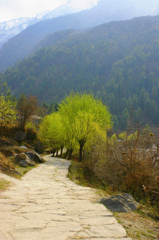 无人,竖图,室外,白天,正面,旅游,度假,草地,草坪,美景,山,山脉,植物,道路,路,尼泊尔,亚洲,阴影,光线,影子,景观,山峰,小路,交通,山峦,娱乐,草,树,树木,蓝色,绿色,蓝天,天空,阳光,自然,群山,天,享受,休闲,景色,放松,生长,晴朗,成长,自然风光,南亚,万里无云,喜马拉雅山脉,安纳普尔纳峰,尼泊尔王国,喜马拉雅山,喜马拉雅,库塘峰,晴空,晴空万里,彩图