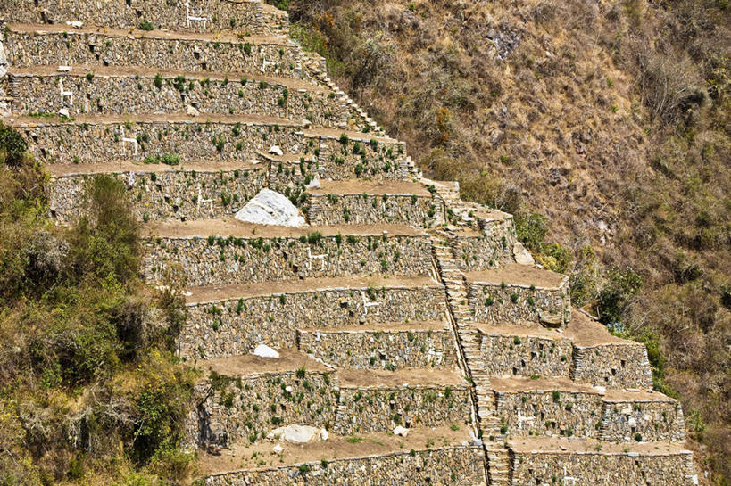 无人,横图,室外,白天,正面,旅游,度假,草地,草坪,名胜古迹,山,山脉,植物,楼梯,标志建筑,地标,建筑,秘鲁,一排,许多,阴影,遗迹,整齐,光线,影子,阶梯,山峰,山峦,古迹,文物,娱乐,建设,古建筑,台阶,草,排列,绿色,阳光,群山,享受,休闲,旅游胜地,南美,放松,南美洲,拉丁美洲,队列,美洲,古文明,秘鲁共和国,马丘比丘,亚美利加洲,南亚美利加洲,玉米之仓,马丘比丘遗址,失落之城,印加帝国,彩图