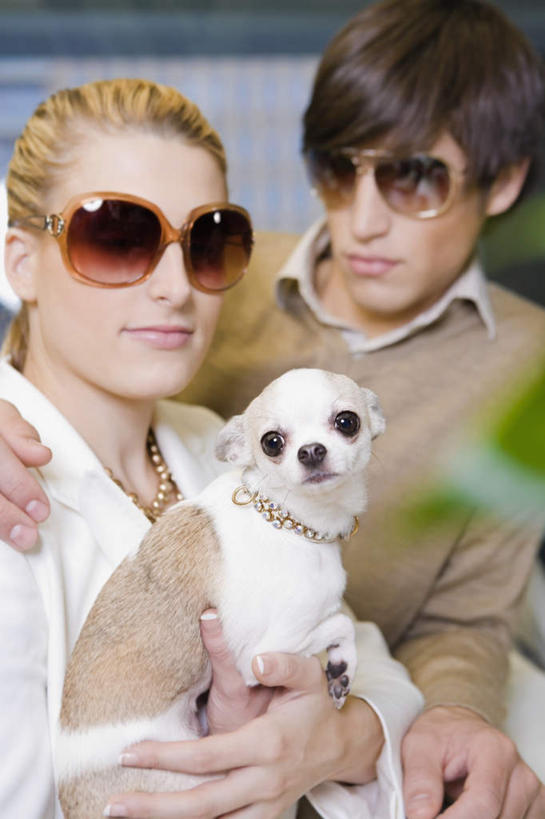 西方人,两个人,宾馆,站,抱,笑,微笑,露齿笑,竖图,室内,白天,正面,爱情,植物,宠物,狗,欧洲,欧洲人,服装,墨镜,盆栽,眼镜,盆景,吉娃娃,浪漫,注视,休闲装,一只,衣服,绿色,自然,动物,太阳镜,太阳眼镜,观察,看,站着,休闲,温暖,温馨,休闲服,遮阳镜,恩爱,可爱,恋人,服饰,生长,成长,抱着,观看,和睦,察看,搂着,关注,忠诚,芝娃娃,奇娃娃,吉娃娃犬,齐花花,男人,男性,年轻男性,年轻女性,女人,女性,白种人,情侣,犬,搂,搂抱,站立,半身,彩图,客店,客栈,旅店,旅馆,旅舍,汽车旅馆,伴侣,融洽