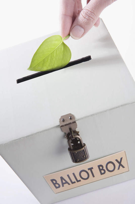 手,一个人,竖图,俯视,室内,特写,白天,白色背景,安全,叶子,仅一个年轻女性,仅一个女性,仅一个人,一排,握,阴影,整齐,反射,英文,标志,文字,影子,字符,字母,绿叶,防护,拿,拿着,标识,锁,排列,容器,箱子,手部,嫩叶,握着,摄影,影棚,储藏,英文字母,保护,单手,挂锁,储存,队列,保险,私密,保全,周全,安稳,安定,防盗,想法,平安,年轻女性,女人,女性,叶,叶片,半身,彩图,高角度拍摄,影棚拍摄,拍摄,建议,意见,意见箱,建议箱,贮存