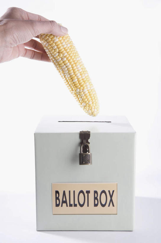 西方人,手,一个人,竖图,室内,特写,白天,白色背景,正面,安全,玉米,蔬菜,欧洲,欧洲人,仅一个年轻女性,仅一个女性,仅一个人,一排,握,阴影,新鲜,整齐,反射,英文,棒子,标志,文字,影子,字符,字母,玉蜀黍,食品,防护,拿,拿着,标识,锁,食物,排列,一个,容器,箱子,手部,握着,摄影,有机食品,绿色食品,影棚,单个,储藏,英文字母,保护,单手,苞米,挂锁,储存,队列,苞芦,保险,私密,苞谷,保全,周全,安稳,安定,防盗,包谷,大蜀黍,番麦,薏米包,玉高粱,玉麦,珍珠米,想法,平安,年轻女性,女人,女性,白种人,半身,彩图,影棚拍摄,拍摄,建议,意见,意见箱,建议箱,贮存