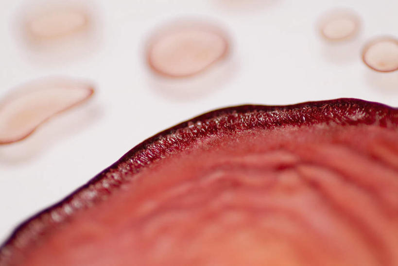 无人,横图,俯视,室内,特写,白天,白色背景,静物,阴影,朦胧,模糊,反射,红血球,医学,细胞,影子,人体,生物学,血细胞,生理学,红细胞,彩图,高角度拍摄