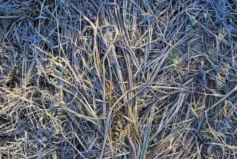 无人,横图,俯视,室外,特写,白天,美景,阴影,光线,纹路,纹理,影子,景观,干草,阳光,自然,草垛,景色,自然风光,肌理,干草垛,彩图,高角度拍摄