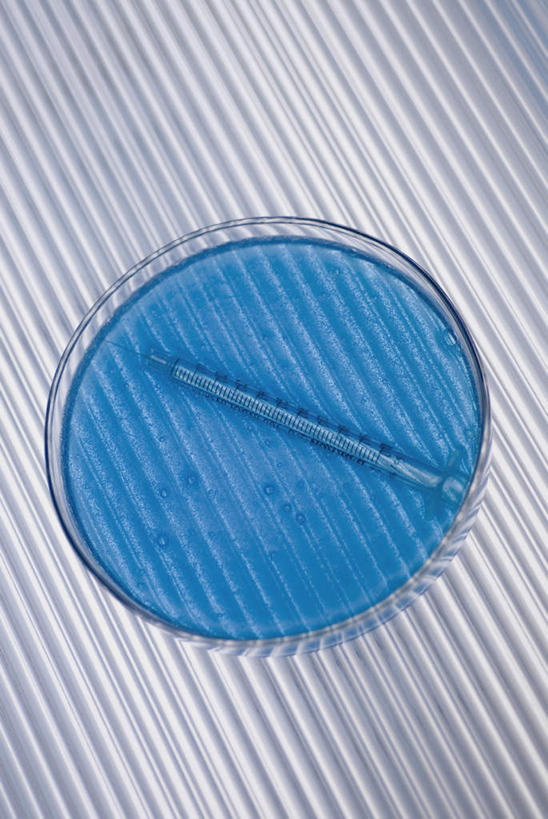 无人,竖图,俯视,室内,特写,白天,实验,仪器,阴影,研究,透明,反射,分析,化学,测试,培养皿,液体,影子,一个,蓝色,器皿,针管,针筒,生物,注射,单个,医疗,医疗设备,注射器,皮氏培养皿,试验耗材,实验用品,化学器材,理智,沉静,通明,冷色,高深,冷淡,彩图,高角度拍摄