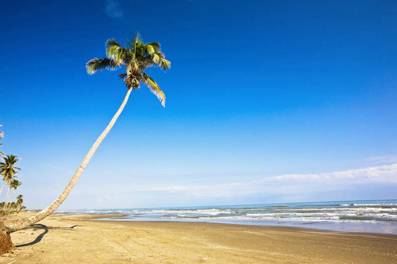 无人,横图,室外,白天,正面,旅游,度假,海浪,海洋,美景,沙滩,植物,棕榈树,叶子,墨西哥,阴影,光线,沙子,影子,海岸,景观,浪花,水平线,云,云朵,辽阔,绿叶,海平线,沙地,云彩,娱乐,树,树木,蓝色,绿色,白云,蓝天,天空,阳光,自然,海水,天,享受,休闲,广阔,嫩叶,景色,放松,生长,晴朗,成长,一望无际,北美,北美洲,自然风光,美洲,海景,棕榈叶,韦拉克鲁斯,韦拉克鲁斯州,北亚美利加洲,亚美利加洲,墨西哥合众国,仙人掌王国,维拉克鲁斯,维拉克鲁斯州,无边无际,一马平川,叶,叶片,大海,风浪,海,海水的波动,海滩,近岸浪,涌浪,晴空,彩图,水天相接,水天一线