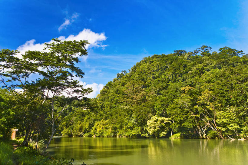 无人,横图,室外,白天,正面,旅游,度假,河流,美景,森林,树林,水,植物,墨西哥,阴影,光线,影子,河水,景观,水流,云,云朵,云彩,娱乐,树,树木,蓝色,绿色,白云,倒影,蓝天,天空,阳光,自然,天,享受,休闲,景色,放松,生长,晴朗,成长,倒映,北美,北美洲,自然风光,美洲,恰帕斯,恰帕斯州,北亚美利加洲,亚美利加洲,墨西哥合众国,仙人掌王国,反照,晴空,彩图