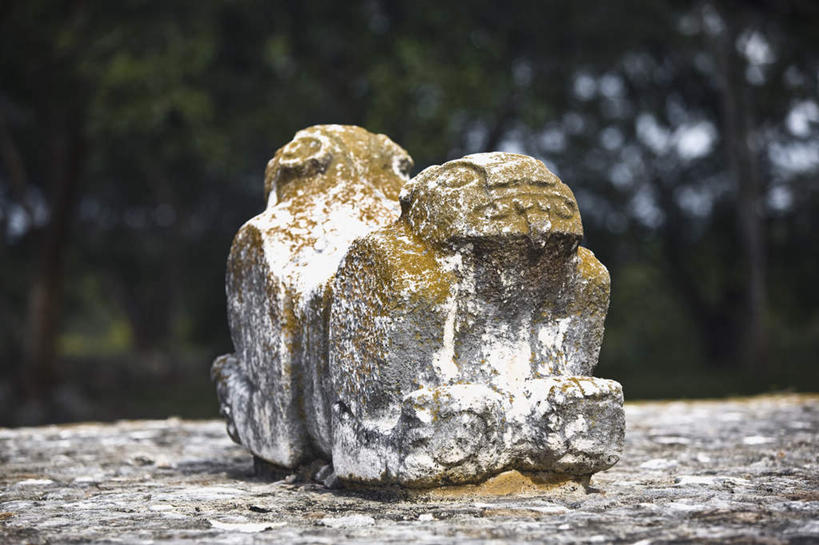 无人,横图,室外,白天,正面,旅游,度假,石头,名胜古迹,森林,树林,植物,标志建筑,地标,建筑,雕塑,墨西哥,朦胧,模糊,遗迹,艺术,装饰,雕刻,雕像,石子,墙,古迹,文物,娱乐,建设,古建筑,废墟,墙壁,墙面,树,树木,绿色,自然,工艺品,享受,休闲,旅游胜地,放松,生长,成长,纪念,美术,北美,北美洲,主题,美洲,陈列,古文明,尤卡坦半岛,乌斯马尔,功能,美学,北亚美利加洲,亚美利加洲,墨西哥合众国,仙人掌王国,犹加敦半岛,石块,彩图