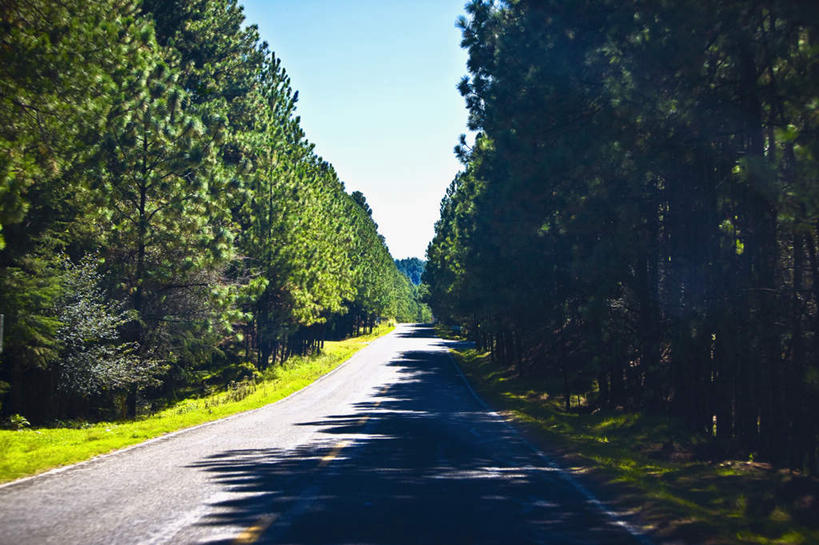 无人,横图,室外,白天,正面,旅游,度假,草地,草坪,美景,植物,道路,路,墨西哥,阴影,光线,影子,景观,小路,交通,娱乐,草,树,树木,蓝色,绿色,蓝天,天空,阳光,自然,天,享受,休闲,景色,放松,生长,晴朗,成长,北美,北美洲,自然风光,美洲,万里无云,恰帕斯,恰帕斯州,北亚美利加洲,亚美利加洲,墨西哥合众国,仙人掌王国,圣克里斯托瓦尔.德拉斯卡萨斯,晴空,晴空万里,彩图
