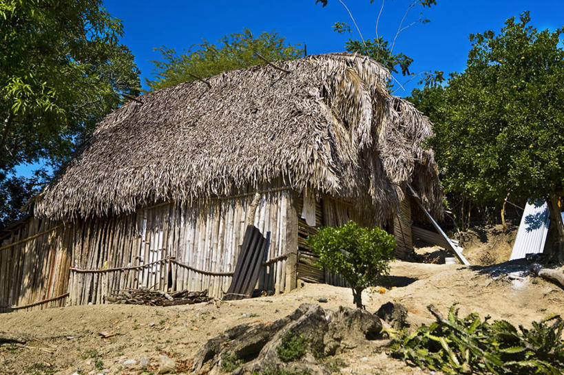 无人,家,木屋,横图,室外,白天,仰视,旅游,度假,美景,植物,墨西哥,阴影,光线,影子,景观,娱乐,住宅,树,树木,蓝色,绿色,蓝天,天空,阳光,自然,天,享受,休闲,景色,放松,生长,晴朗,成长,北美,北美洲,自然风光,美洲,万里无云,韦拉克鲁斯,韦拉克鲁斯州,北亚美利加洲,亚美利加洲,墨西哥合众国,仙人掌王国,维拉克鲁斯,维拉克鲁斯州,晴空,晴空万里,彩图,低角度拍摄,茅舍,茅屋,棚屋,小木屋,小屋