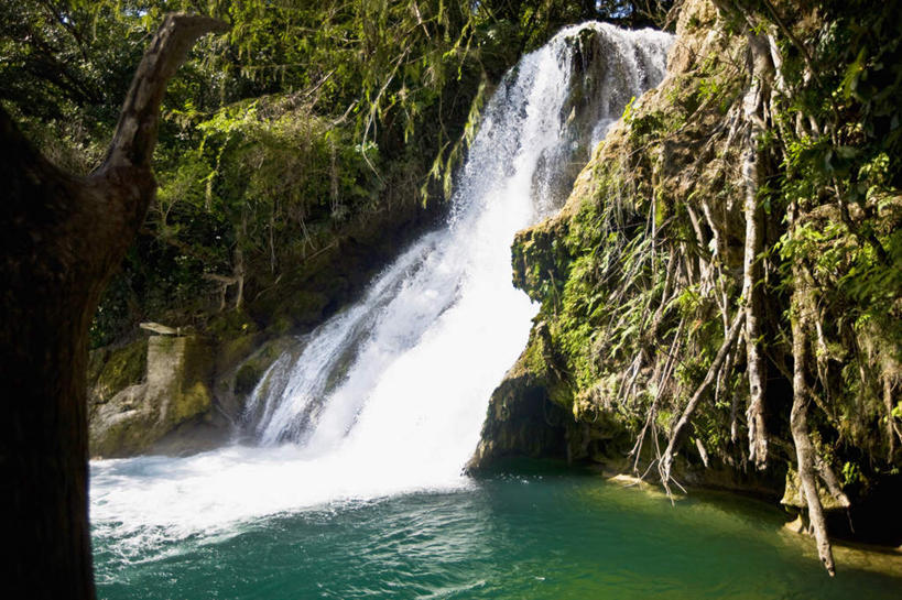无人,横图,室外,白天,正面,旅游,度假,河流,石头,美景,瀑布,森林,山,山脉,树林,水,植物,墨西哥,飞溅,溅,石子,液体,河水,景观,山峰,水滴,水流,山峦,娱乐,水珠,树,树木,绿色,自然,群山,享受,休闲,景色,放松,生长,成长,北美,北美洲,喷洒,自然风光,美洲,沉积岩,圣路易斯波托西,北亚美利加洲,亚美利加洲,墨西哥合众国,仙人掌王国,圣路易斯波托西州,水成岩,跌水,石块,岩石,彩图