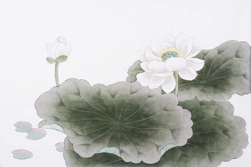 无人,横图,室内,白天,白色背景,正面,绘画,睡莲,叶子,艺术,盛开,荷叶,古典,花蕾,文化,花,花瓣,花朵,鲜花,工艺品,花苞,花蕊,品味,美术,高雅,国画,水墨画,纯真,妖艳,美学,莲叶,水芹花,抒情,洁净,水墨,水洋花,子午莲,叶,叶片,彩图