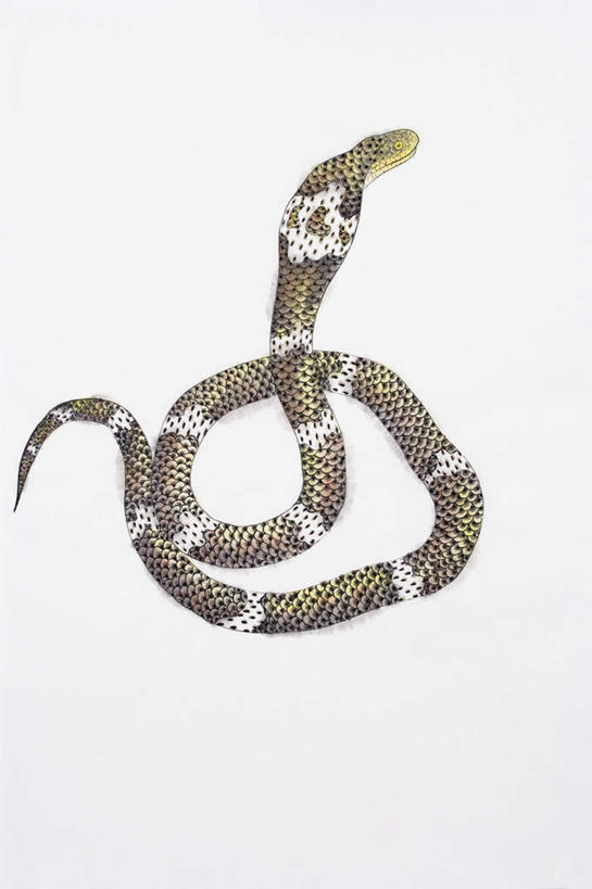 无人,竖图,室内,白天,白色背景,正面,绘画,野生动物,一条,艺术,缠绕,爬行动物,蛇,古典,文化,盘旋,动物,工艺品,品味,美术,高雅,有毒,冷血动物,国画,水墨画,凶猛,脊椎动物,长虫,眼镜蛇,美学,水墨,残暴,凶残,彩图,全身,冷血