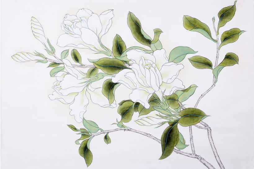 无人,横图,室内,白天,白色背景,正面,爱情,绘画,叶子,艺术,盛开,栀子花,绿叶,古典,花蕾,文化,花,花瓣,花朵,鲜花,白色,工艺品,花苞,花蕊,品味,嫩叶,美术,栀子,高雅,坚强,国画,水墨画,永恒,美学,守候,水墨,黄栀,黄栀子,山栀,山栀子,叶,叶片,彩图