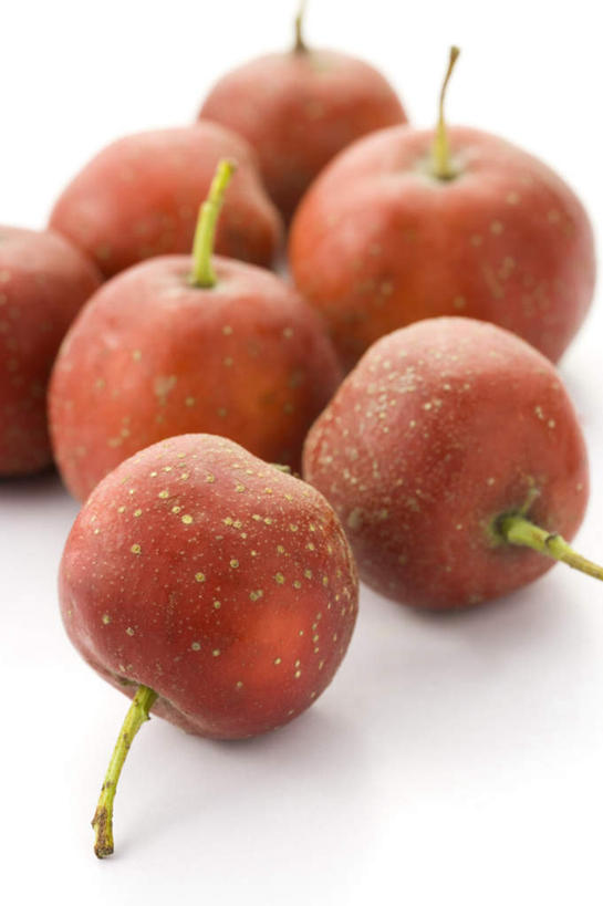 无人,竖图,俯视,室内,特写,白天,白色背景,餐桌,桌子,水果,许多,阴影,新鲜,反射,影子,生食,食品,果实,很多,食物,红色,山楂,摄影,有机食品,绿色食品,影棚,餐台,红果,彩图,高角度拍摄,影棚拍摄,拍摄